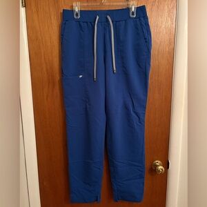 Fabletics Royal Blue Ion Scrub Pant